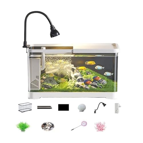 Fischtank, Aquariumtank mit Filter - Kleine Fischtank-Starter-Kits, Tischfischtank-Dekoration(White,L) von LIPINGJING0201