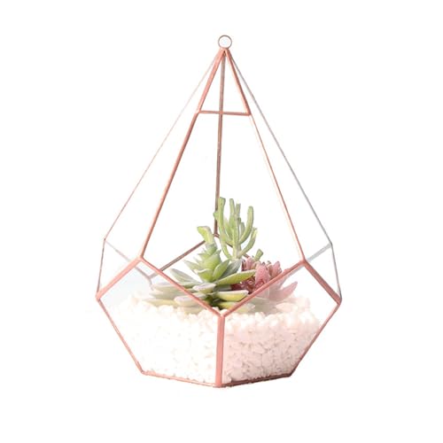 Glas-Terrarium für den Innenbereich, Tisch-Pflanzkasten, geometrisches Sukkulenten-Terrarium für Farn, Moos, Luftpflanzen, Miniatur (Farbe: A) von LIPINGJING0201