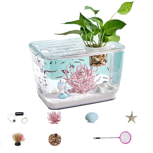 Kleines Aquarium, transparent, Starter-Set für Garnelen, Goldfische von LIPINGJING0201