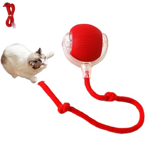 LIPINGJING0201 Interaktiver rollender Hundeball, selbstrollender Hundeball, interaktives Katzenspielzeug, interaktiver Ball mit Ersatzseil für Hunde und Katzen, Rot von LIPINGJING0201