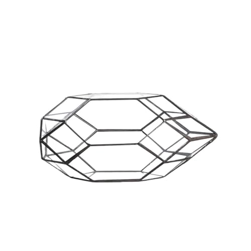 Schwarzes Glas-Terrarium, Tisch-Gewächshaus, Glasterrarien für Sukkulenten, Moos, Pflanzen, Schnecken von LIPINGJING0201