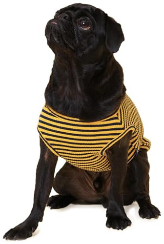 Little Beast Hunde/Katze Shirts, ärmellose Shirts für Hunde/Katzen, Tanktops für Hunde/Katzen, für kleine, mittelgroße und große Hunde/Katzen, Schwarz/Gelb, XX-Large von LITTLE BEAST