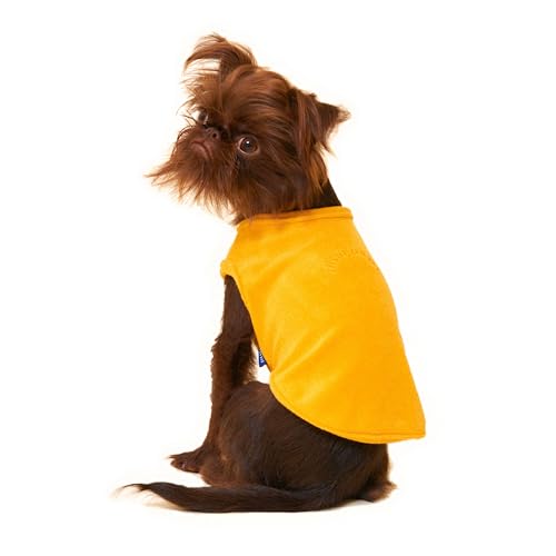 Little Beast Hunde/Katze Shirts, ärmellose Shirts für Hunde/Katzen, Tanktops für Hunde/Katzen, für kleine, mittelgroße und große Hunde/Katzen (Orange, XS) von LITTLE BEAST