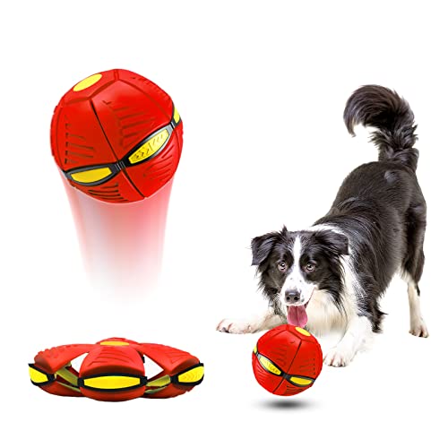 LITTLE GUY Hundespielzeug-Ball 2023, magischer fliegender Untertassenball für Hunde, langlebiger Stomp-Ball, Haustier-Dekompression, interaktives Sportspielzeug, für drinnen und draußen, von LITTLE GUY