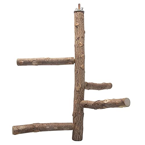 Papageien-Sitzstange Ständer Vogelständer Naturholz Stick Schleifen S/für L Multi Branch Paw Climbing Standing von LIUANDS