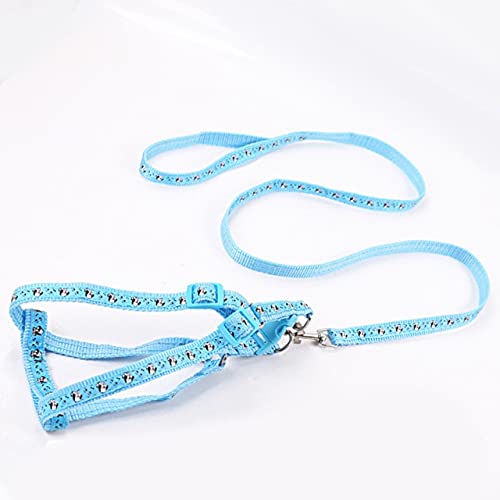 LIUXIN 1,0 cm Doppelschicht Durable Einstellbare Nyloon Haustier Hundehalsband Geschirr Set Hundeleinen Hunde Katzenleine Leine Training Gehweste Blei 1 Stück von LIUXIN