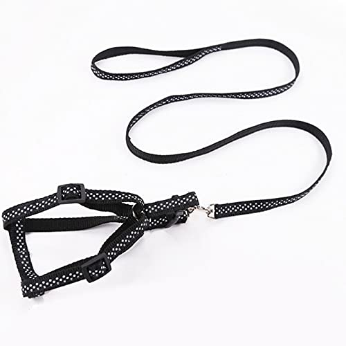 LIUXIN 1,0 cm Doppelschicht Durable Einstellbare Nyloon Haustier Hundehalsband Geschirr Set Hundeleinen Hunde Katzenleine Leine Training Gehweste Blei 1 Stück von LIUXIN