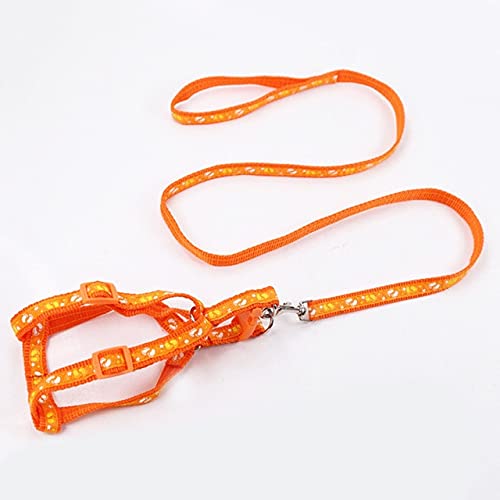 LIUXIN 1,0 cm Doppelschicht Durable Einstellbare Nyloon Haustier Hundehalsband Geschirr Set Hundeleinen Hunde Katzenleine Leine Training Gehweste Blei 1 Stück von LIUXIN