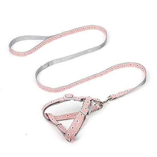 LIUXIN 1 Stück Verstellbare Hunde Katzengeschirr Leine Weste Leine Welpe Kleines Hundehalsband Mulit Size Leine Für Hund Katze Outdoor-Aktivitäten von LIUXIN