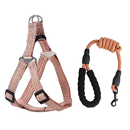 LIUXIN 1Pcs Nylon Haustier Hundegeschirr No Pull Verstellbare Hundeweste Leine Klassische Laufleine Riemen Gürtel für kleine mittelgroße Hunde von LIUXIN