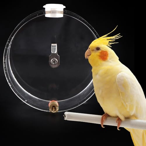 Bird Automatic Waterer Parrot Water Bowl Birdcage Accessories Anti-Leakage Automatic Water Feeder Bird Drinking Bottle Dispenser for Bird Parrot Guinea Pig Hamster Rabbit von LIUZONGIN