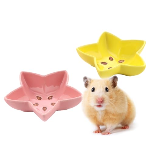 Keramik-Futternapf und Wasserschale für Hamster, Meerschweinchen, Eichhörnchen, Igel, Chinchilla, 2 Stück, Gelb und Rosa von LIUZONGIN