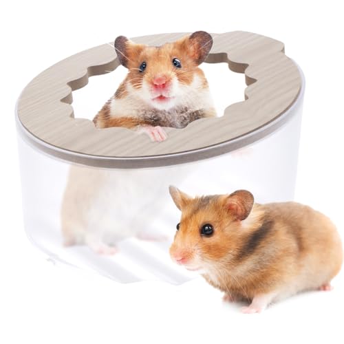 LIUZONGIN Hamster Sand Badebox Kleintier Badezimmer Toilette und Ausgrabungsraum Hamsterkäfig Zubehör Sand Badebox für kleine Hamster Rennmäuse Syrische Mäuse Kleine Nager von LIUZONGIN