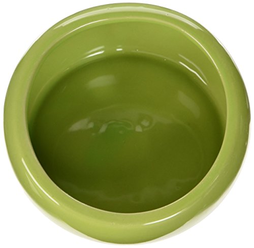 Living World Keramiknapf, für Nager, grün, 240ml von LIVING WORLD