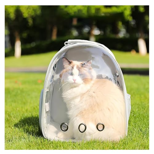 Astronauten Katzen Tasche, Haustier Rucksack für Katzen & Kleine Hunde, Raumkapsel Design mit Bubble-Fenster, Belüftet, Leicht & Bequem, Ideal für Katzentransport & Haustierreisen(B-Gray) von LIXQQS