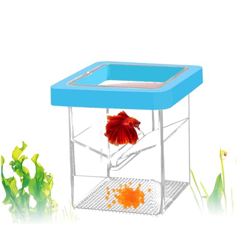 Züchterbox für Aquarium, Züchterbox mit Adsorption und Aufhängung, Fischisolierung, Zuchtbox mit Schichtdesign von LIYJTK