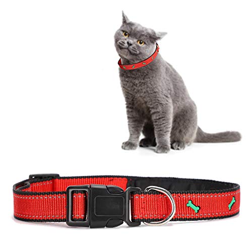 Halsband für Hunde und Katzen, verstellbar, reflektierendes Sicherheits-Nylon für Hunde und Katzen, mit Sicherheitsschnalle für kleine Hunde und Katzen (Red) von LIZEALUCKY