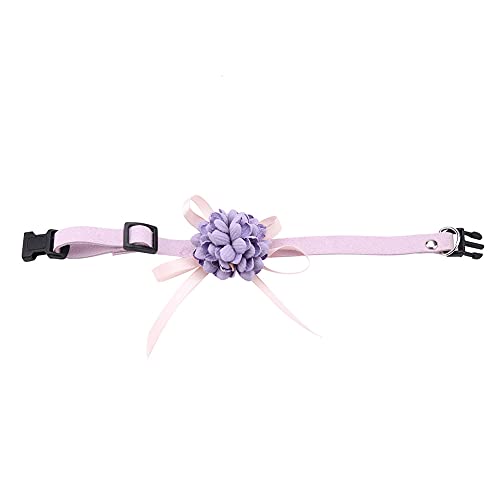 Hundehalsband mit Fliege, Haustier-Bowknot-Blumen-Halsband, Haustier-Hundehalsband, Verstellbarer Riemen, verstellbares und bequemes Halsband, Welpen-Bogenhalsbänder für kleine (M) von LIZEALUCKY