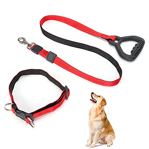 Hundehalsband und Leine-Set, verstellbare Leine, Robustes Set, bequemer Griff für Welpen, mittelgroße und große kleine Hunde, Heimtierbedarf, Training, Gehen, Laufen (Rot) von LIZEALUCKY