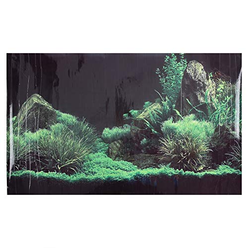 LIZEALUCKY Aquarium-Hintergrund-Poster Stickerm, Wasserpflanzen, Steine, dekorativ, Unterwasser-PVC-Landschaftsbild, Wanddekoration, Bilddekoration, Selbstklebende Reptilienpflanze für (122 * 46cm) von LIZEALUCKY