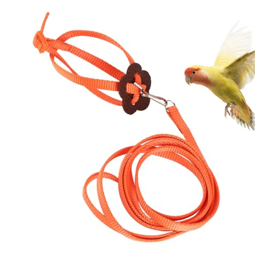 LIZEALUCKY Haustier-Papageien-Vogelgeschirr und Leine, Gehseil, Outdoor, verstellbares Trainingsdesign, Anti-Biss-Trägervögel, Nylon-AntiBite für kleine Wellensittiche, Wellensittiche, (Orange) von LIZEALUCKY