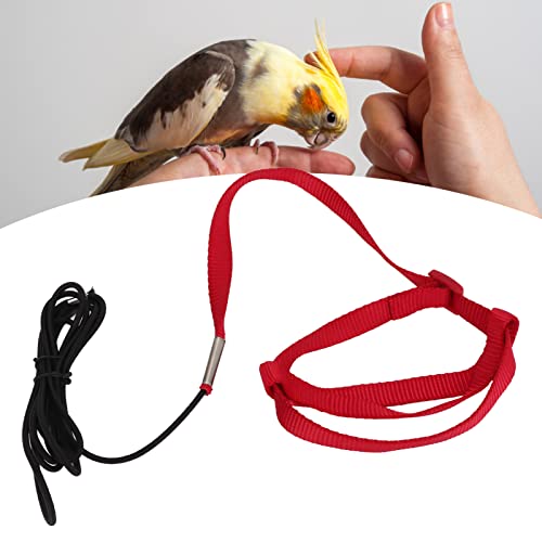 Papageien-Vogelgeschirr und Leine, fliegendes Trainingsseil, bissfest, verstellbares Design, Anti-Flieger-Haustier-Outdoor-Set für Spaziergänge, Partys (M) von LIZEALUCKY