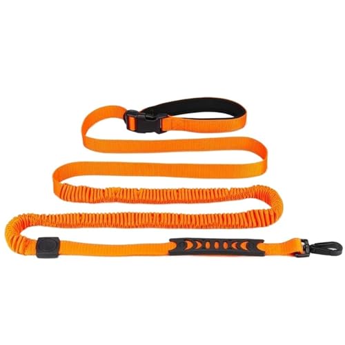 Leine Hund Einziehbare freihändige Hundeleine for Laufen, Bungee-Leine mit Zwei Griffen, reflektierend, for große Heimtierbedarfsartikel(Orange) von LIZHAYG