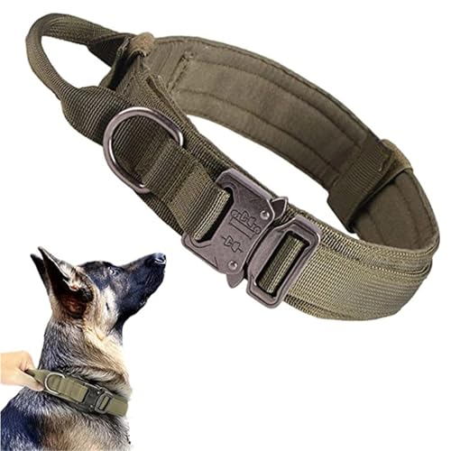 Leine Hund Hundehalsband, langlebiges Leinen-Set, verstellbare Haustierhalsband-Leine, mittelgroßer großer Hund, Deutscher Schäferhund, Trainingszubehör(Green Collar,L Neck 45-55CM) von LIZHAYG