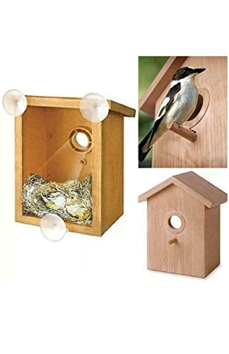 My Spy Vogelhaus Vogelhaus Vogelhaus und Vogelhäuser für Garten Nistfutter Natur Handwerk Kinder Durchsichtiges Fenster Vogelhaus von LIZZIE JACOBS