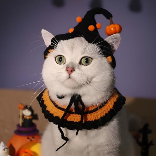 Halloween-Kostüm für Haustiere, Katze, Kürbis, lustiges Hundekostüm, Spinne, Fledermäuse, Hut, niedliche Welpenbekleidung für Halloween-Party von LJJDMI