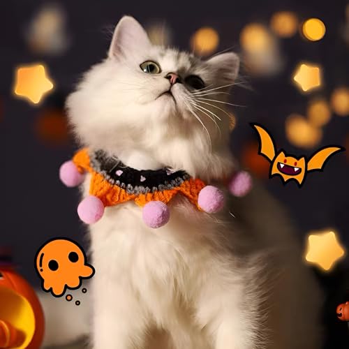 Halloween-Kostüm für Haustiere, Katze, Kürbis, lustiges Hundekostüm, Spinne, Fledermäuse, Hut, niedliche Welpenbekleidung für Halloween-Party von LJJDMI