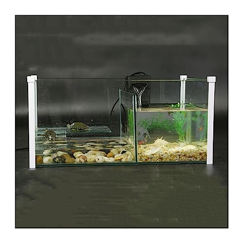 Kleines Aquarium, Aquarium-Mix-Trenntank for Schildkröten, Fisch-Mischtank, Zuchttank, transparentes Glas, quadratisches Aquarium-Tank, Aquarium von LKJIUDVY