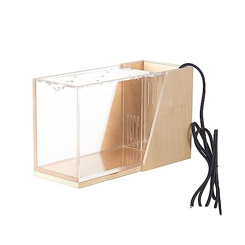 Kleines Aquarium, Aquarium-Tisch-Acryl-klarer quadratischer Tank for Aquarien, ökologisches kleines Büro-Heim-Aquarium-Tank mit Pumpe, Aquarium(Color:2) von LKJIUDVY