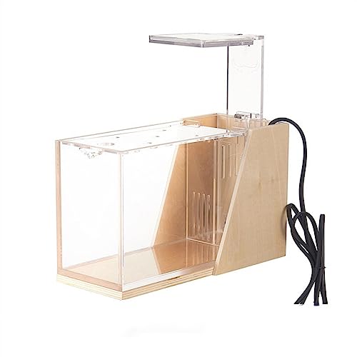 Kleines Aquarium, Aquarium-Tisch-Acryl-klarer quadratischer Tank for Aquarien, ökologisches kleines Büro-Heim-Aquarium-Tank mit Pumpe, Aquarium(Color:5) von LKJIUDVY