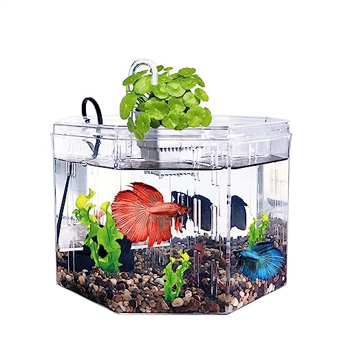 Kleines Aquarium, Isolationsbox for kleine Aquarien, Zucht, spezielles transparentes Acryl-Aquarium mit Pumpenfiltration, Zieraquarium, Büro, Zuhause, Aquarium von LKJIUDVY