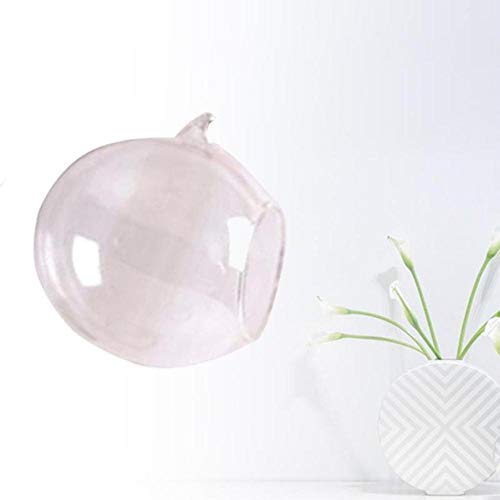 LLAAIT Runder Aquarium Blumen Pflanzenregalhalter Hängend Klarglas Ball Luft Pflanze Terrarium Vase Dekoration, 8cm von LLAAIT