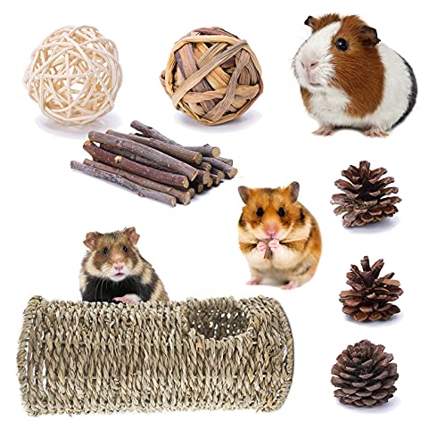 LLGLEU 7 Stück Hamster Seegras Tunnels 19,5x10cm Natürliche Grasbälle Kaubälle Kiefernzapfen Apfel-Sticks Kleintiere Spielzeug Trainingsröhren für Hamster Rennmäuse Chinchillas von LLGL-EU