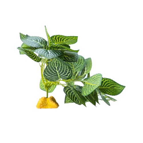 LLINthy Realistische Grasdekoration Für Reptilien Terrarien Natürliche Höhlenlebensraum Dekore Kletterpflanze Hängematte Versteckt Höhlen Realistische Reptilien Gras LLINthy Realistische Grasdekoration Für Reptilien Terrarien Natürliche Höhlenlebensraum Dekore Kletterpflanze Hängematte Versteckt Höhlen Realistische Reptilien Gras von LLINthy