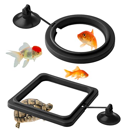 LLMSIX 2 Stück Fischfutterring, Futterring Aquarium für Aquarium und Tank Futterring Aquarium mit Saugnapf Aquarium zubehör Lebensmittelspender für Goldfische, Schildkröten (Schwarz) von LLMSIX