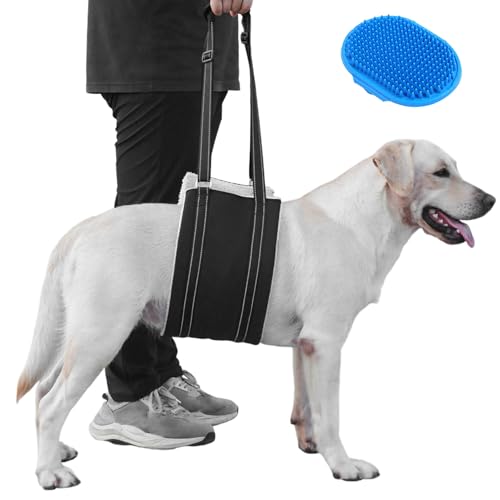 Hundegeschirr, verstellbar, tragbar, für Hinterbeine, weich, bequem, unterstützt ältere Hunde mit Mobilitätsproblemen, Hüftdysplasie, Arthritis-Rehabilitationsgerät, Größe L von LM BODYCARE