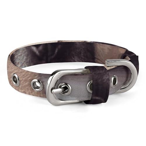 Hundehalsband für kleine und mittelgroße Haustiere, verstellbar, Oxford-Stoff, Hund in einer Decke, bedruckt, Haustierhalsband, personalisierbar von LMNGH