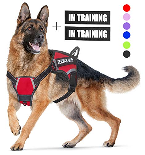 LMOBXEVL Hundegeschirr, kein Ziehen, verstellbar, reflektierend, für kleine und mittelgroße Rassen, zum Wandern, L:Neck 18.1-27.6"|Chest 24-36.6", rot von LMOBXEVL