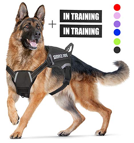 LMOBXEVL Hundegeschirr, kein Ziehen, verstellbar, reflektierend, für kleine und mittelgroße Rassen, zum Wandern, L:Neck 18.1-27.6"|Chest 24-36.6", schwarz von LMOBXEVL