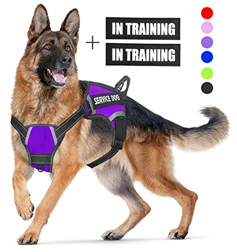 LMOBXEVL Hundegeschirr, kein Ziehen, verstellbar, reflektierend, für kleine und mittelgroße Rassen, zum Wandern, L:Neck 18.1-27.6"|Chest 24-36.6", violett von LMOBXEVL