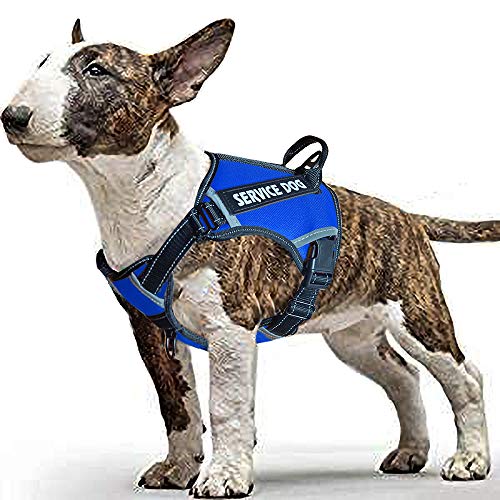 LMOBXEVL Hundegeschirr, kein Ziehen, verstellbar, reflektierend, für kleine und mittelgroße Rassen, zum Wandern, M:Neck 13.8-20.5"|Chest 20.1-31.1", blau von LMOBXEVL