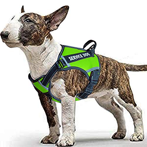 LMOBXEVL Hundegeschirr, kein Ziehen, verstellbar, reflektierend, für kleine und mittelgroße Rassen, zum Wandern, M:Neck 13.8-20.5"|Chest 20.1-31.1", grün von LMOBXEVL