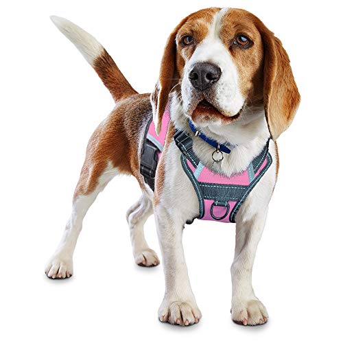 LMOBXEVL Hundegeschirr, kein Ziehen, verstellbar, reflektierend, für kleine und mittelgroße Rassen, zum Wandern, M:Neck 13.8-20.5"|Chest 20.1-31.1", rose von LMOBXEVL