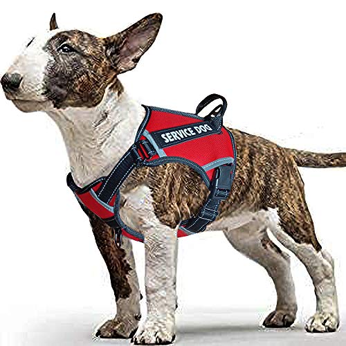 LMOBXEVL Hundegeschirr, kein Ziehen, verstellbar, reflektierend, für kleine und mittelgroße Rassen, zum Wandern, M:Neck 13.8-20.5"|Chest 20.1-31.1", rot von LMOBXEVL