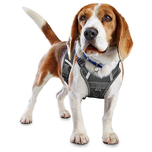 LMOBXEVL Hundegeschirr, kein Ziehen, verstellbar, reflektierend, für kleine und mittelgroße Rassen, zum Wandern, M:Neck 13.8-20.5"|Chest 20.1-31.1", schwarz von LMOBXEVL