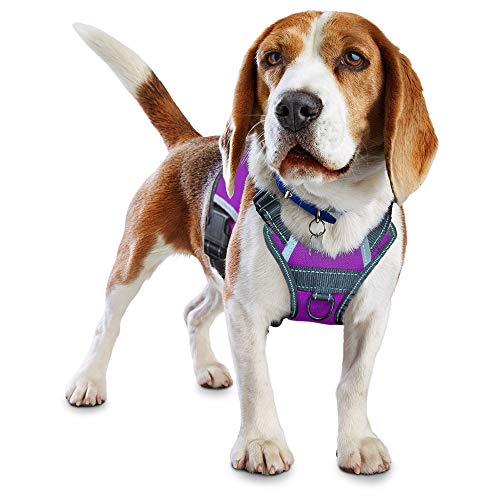 LMOBXEVL Hundegeschirr, kein Ziehen, verstellbar, reflektierend, für kleine und mittelgroße Rassen, zum Wandern, M:Neck 13.8-20.5"|Chest 20.1-31.1", violett von LMOBXEVL